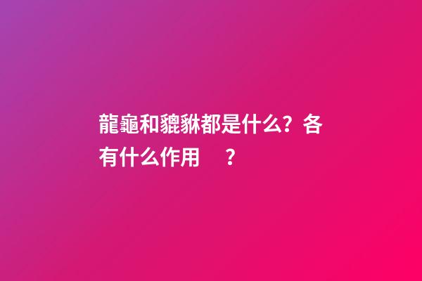 龍龜和貔貅都是什么？各有什么作用？